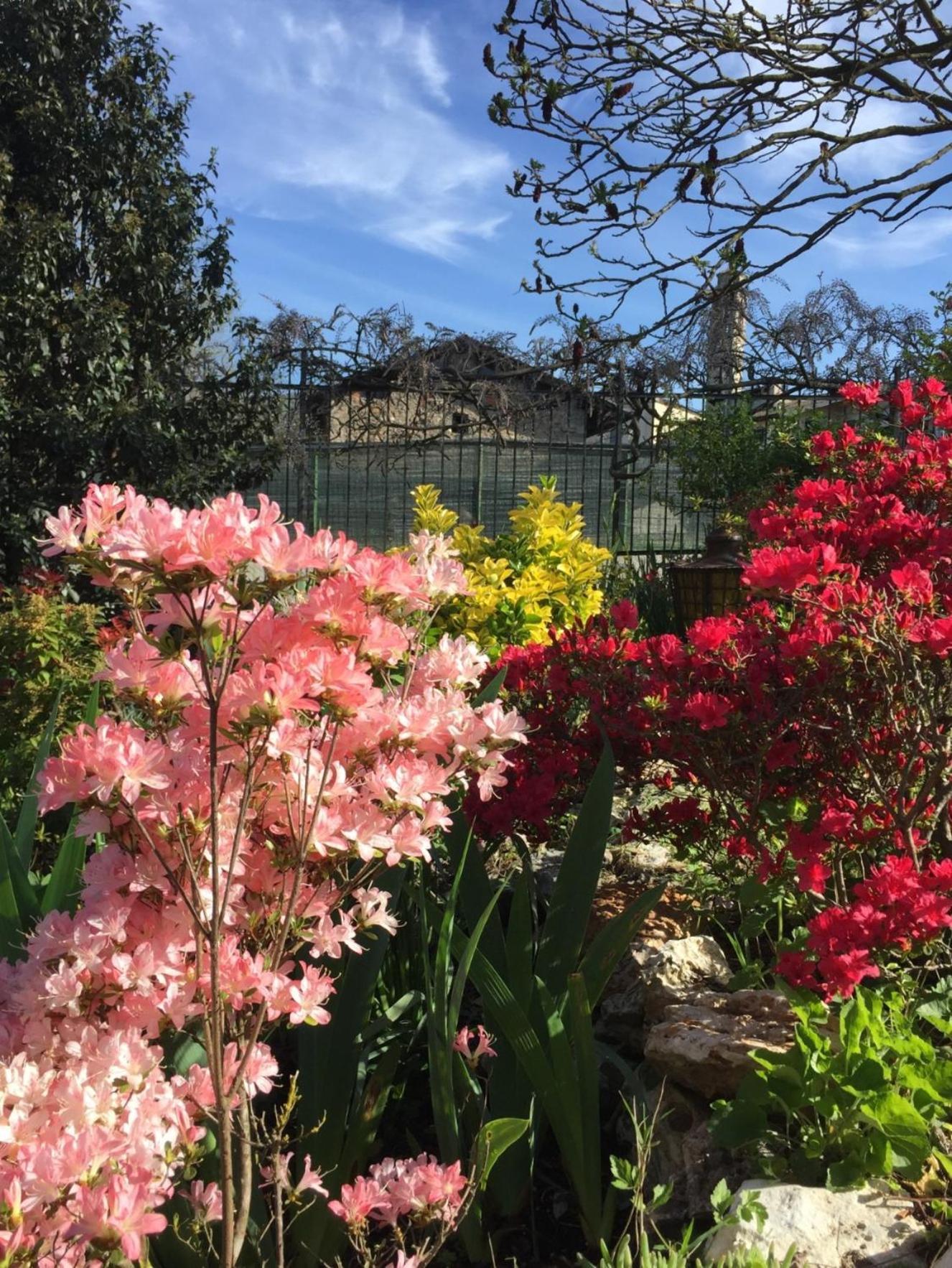 Le Bricolle Villa Viggiu ภายนอก รูปภาพ