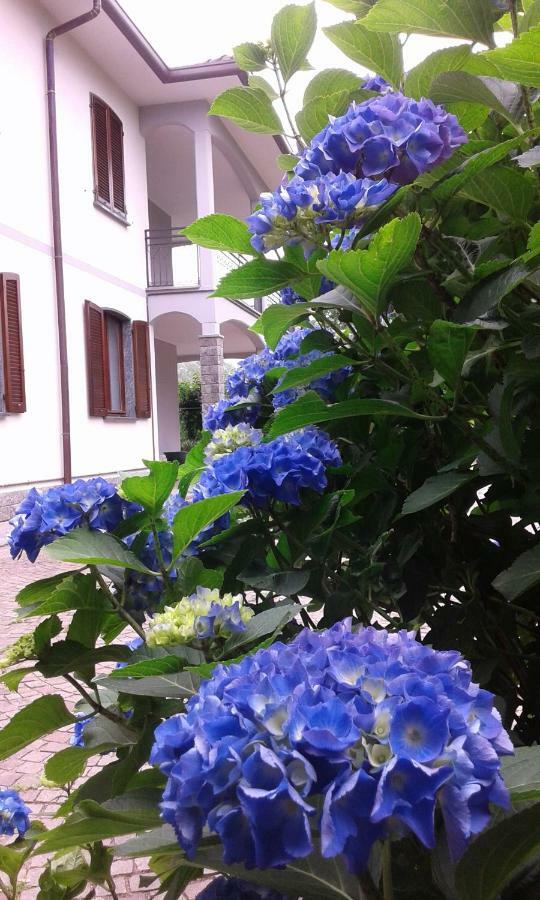 Le Bricolle Villa Viggiu ภายนอก รูปภาพ